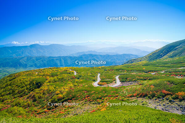 長野県　乗鞍岳の紅葉 [SKE110001502]