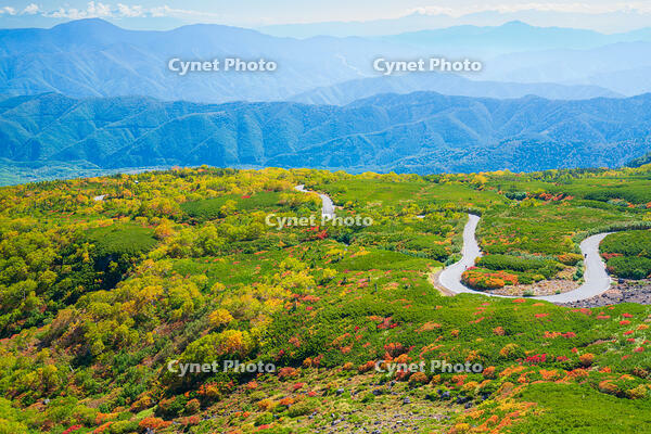 長野県　乗鞍岳の紅葉 [SKE110001503]