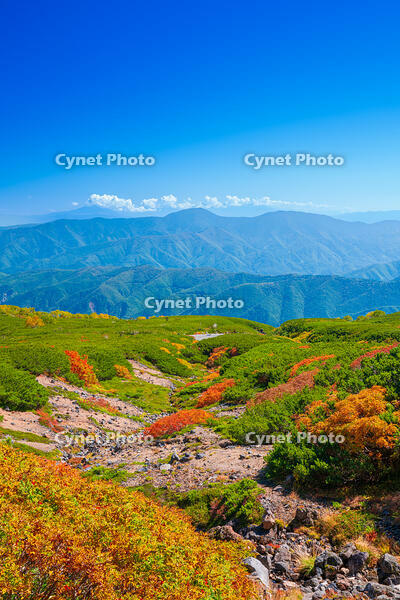 長野県　乗鞍岳の紅葉 [SKE110001508]