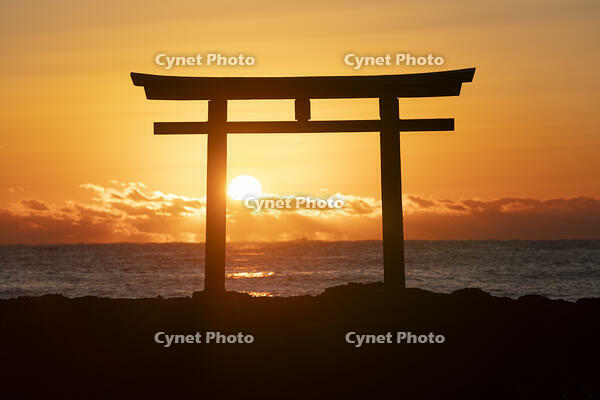 茨城県　大洗磯前神社の日の出 [SKE110001542]