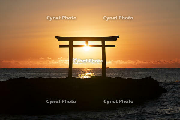 茨城県　大洗磯前神社の日の出 [SKE110001551]