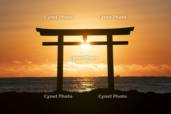 茨城県　大洗磯前神社の日の出 [SKE110001552]
