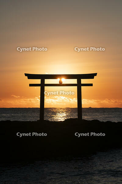 茨城県　大洗磯前神社の日の出 [SKE110001557]