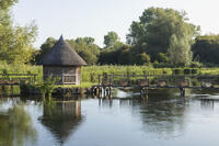England, Hampshire, River Test at Leckford [STV110083968]