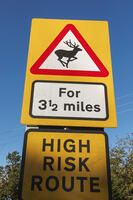 England, Hampshire, Animal Warning Road Sign near Romsey [STV110083989]