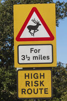 England, Hampshire, Animal Warning Road Sign near Romsey [STV110083990]