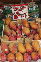 England, Hampshire, Winchester, Street Market Fruit and Vegetable Stall of Mangoes [STV110083992]