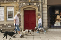 England, Hampshire, Winchester, The High Street, Broadway, Street Scene with Dog Walkers [STV110084008]