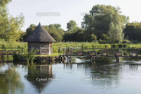 England, Hampshire, River Test at Leckford [STV110083968]