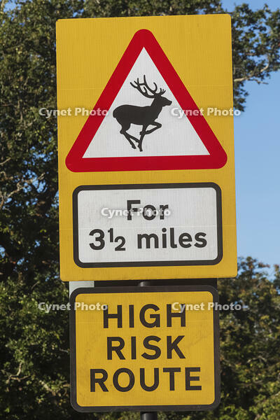 England, Hampshire, Animal Warning Road Sign near Romsey [STV110083990]