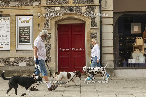 England, Hampshire, Winchester, The High Street, Broadway, Street Scene with Dog Walkers [STV110084008]