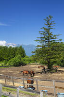 木曽馬の里と御嶽山 [KNO110022721]