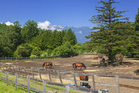 木曽馬の里と御嶽山 [KNO110022722]