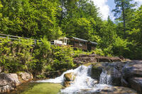 赤沢自然休養林の赤沢森林鉄道 [KNO110022726]