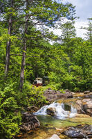 赤沢自然休養林の赤沢森林鉄道 [KNO110022729]