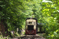 赤沢自然休養林の赤沢森林鉄道 [KNO110022730]