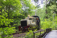 赤沢自然休養林の赤沢森林鉄道 [KNO110022731]