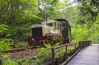 赤沢自然休養林の赤沢森林鉄道 [KNO110022732]