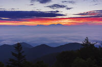 道の駅美ヶ原の展望台より雲海と朝焼け [KNO110022740]