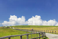 美ヶ原高原 [KNO110022761]