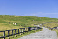 美ヶ原高原 [KNO110022763]