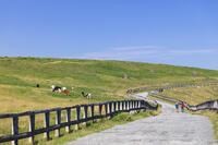 美ヶ原高原 [KNO110022764]