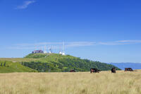 美ヶ原高原の王ヶ頭 [KNO110022781]
