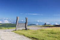 美ヶ原高原の王ヶ頭 [KNO110022800]