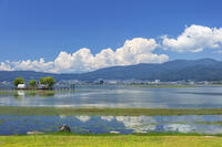 夏の諏訪湖 [KNO110022809]