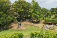 富士見塚より望む古河公方公園 [KNO110023130]