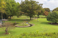 富士見塚より望む古河公方公園 [KNO110023131]