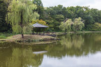 古河公方公園の御所沼 [KNO110023132]