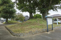 小金井一里塚 【画像処理：車のナンバーを消去】 [KNO110023141]