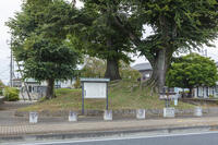 小金井一里塚 [KNO110023142]