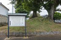 小金井一里塚 [KNO110023144]