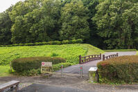 飛山城跡 [KNO110023148]