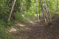 飛山城跡 [KNO110023151]