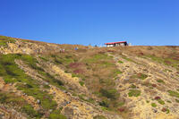 那須岳の登山道 [KNO110023178]