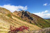 朝日岳 [KNO110023181]