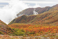 雲が漂う牛ヶ首付近より那須連山の紅葉 [KNO110023191]
