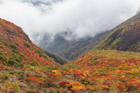雲が漂う牛ヶ首付近より那須連山の紅葉 [KNO110023193]