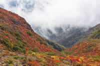 雲が漂う牛ヶ首付近より那須連山の紅葉 [KNO110023194]