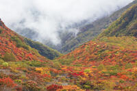 雲が漂う牛ヶ首付近より那須連山の紅葉 [KNO110023195]