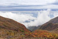 雲が漂う牛ヶ首付近より那須連山の紅葉 [KNO110023196]