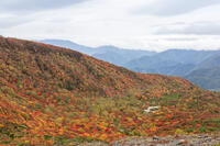 姥ヶ平の紅葉 [KNO110023197]