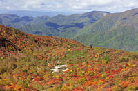 姥ヶ平の紅葉 [KNO110023199]