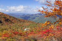 姥ヶ平の紅葉 [KNO110023200]