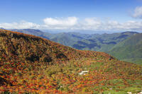 姥ヶ平の紅葉 [KNO110023201]