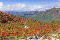 姥ヶ平の紅葉 [KNO110023202]