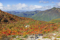 姥ヶ平の紅葉 [KNO110023203]